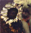 paintedwoman2.jpg (21050 bytes)
